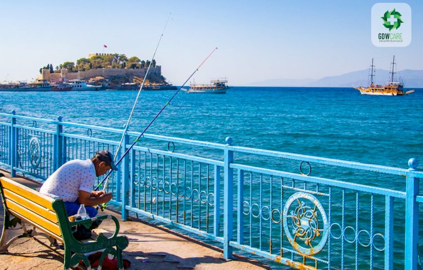 Private Ephesus Tour from Bodrum Port / Hotels