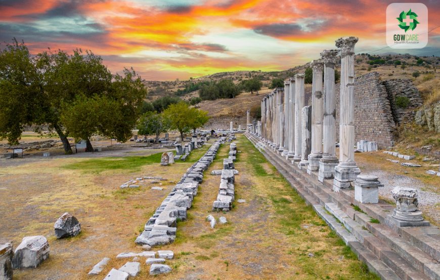 Private Daily Pergamon Tour from Istanbul by Plane