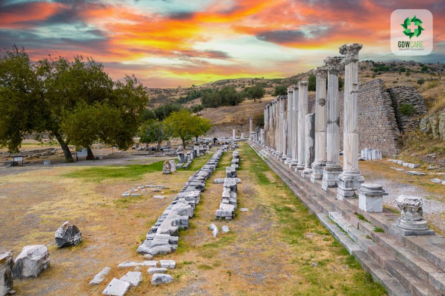 Private Daily Pergamon Tour from Istanbul by Plane