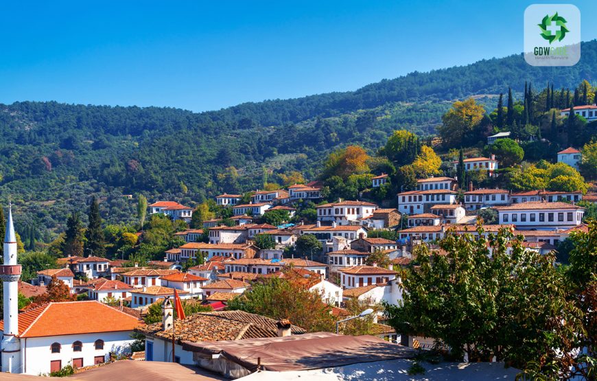 Private Ephesus & Sirince Village Tour from Kusadasi Port