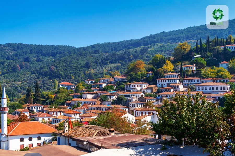 Private Ephesus & Sirince Village Tour from Kusadasi Port