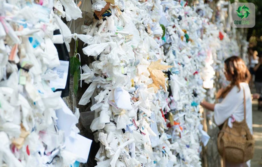 Private Ephesus Tour from Bodrum Port / Hotels