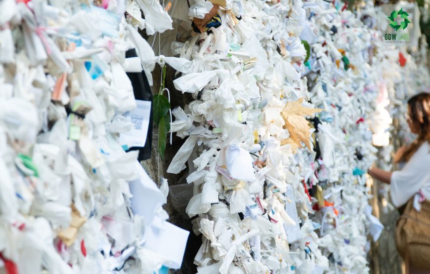 7 Days Churches of Revelation Tour